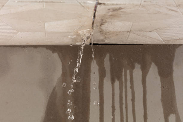 Professional Flood Damage Cleanup technician working in Loma Mar, CA